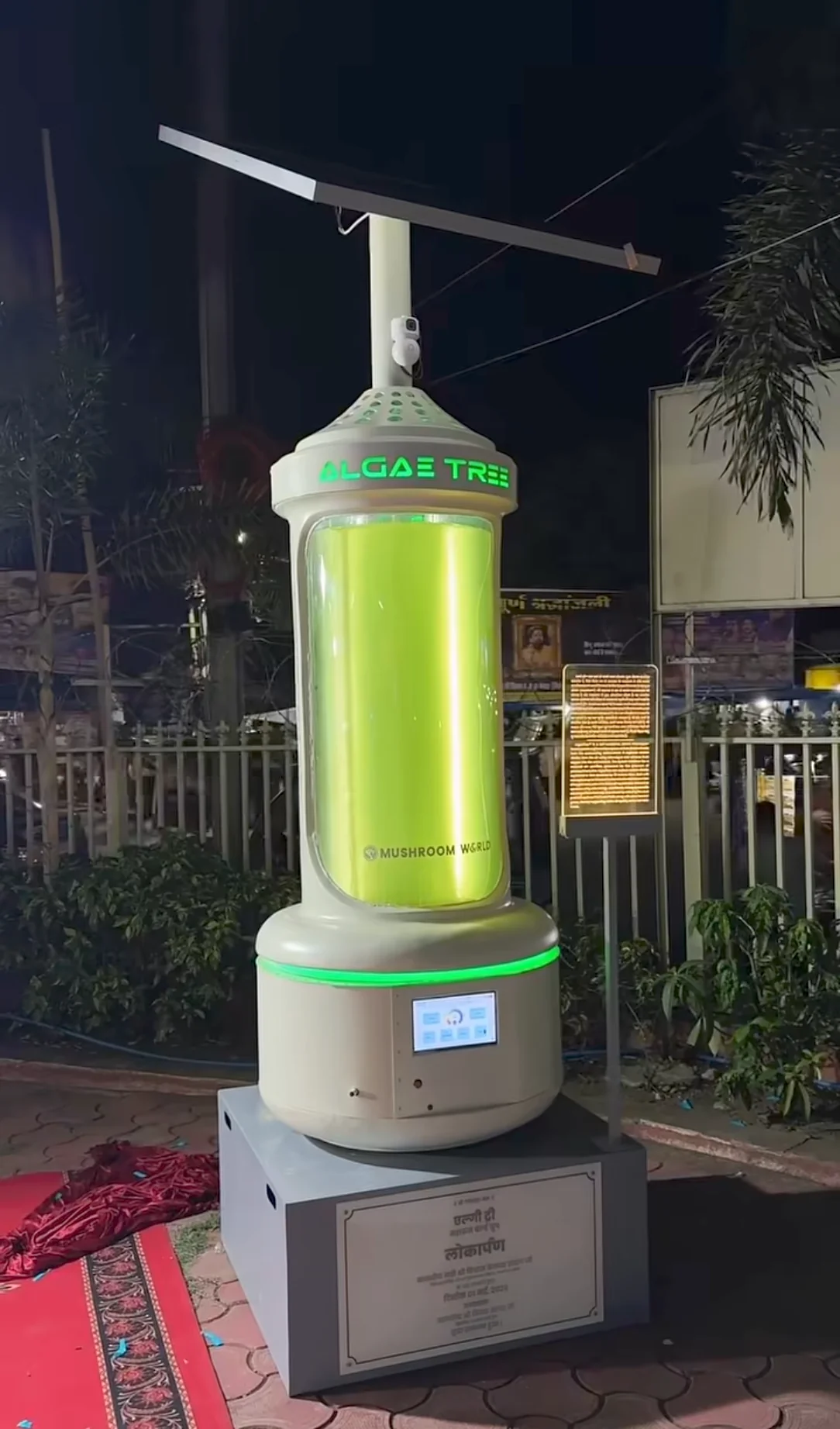 Sna Algae Tree installed in a public space at night